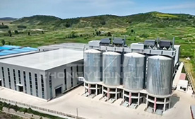 ɽ�|ʡ���ɽ�Ͷ������a(ch��n)300�f(w��n)���������a(ch��n)��