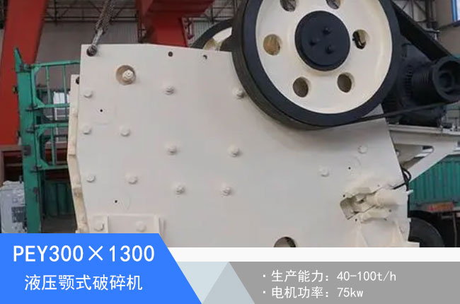 PEY300��1300Һ���ʽ����C