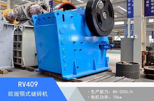 RV409�W���ʽ����C(j��)