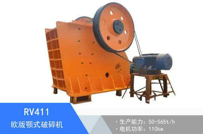 RV411�W���ʽ����C(j��)