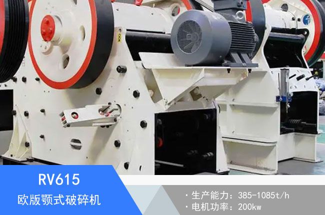 RV615�W���ʽ����C(j��)