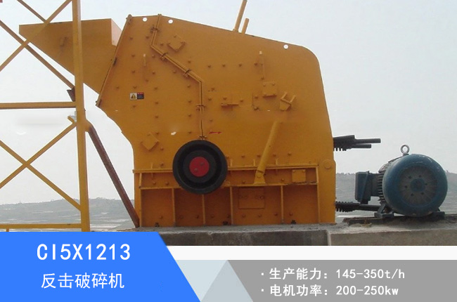 CI5X1213��������C