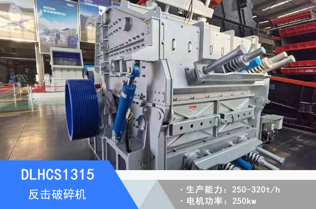 DLHCS1315��������C(j��)