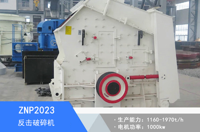 ZNP2023Һ����������C