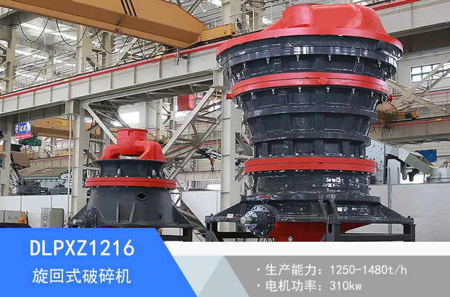 DLPXZ1216��������C(j��)