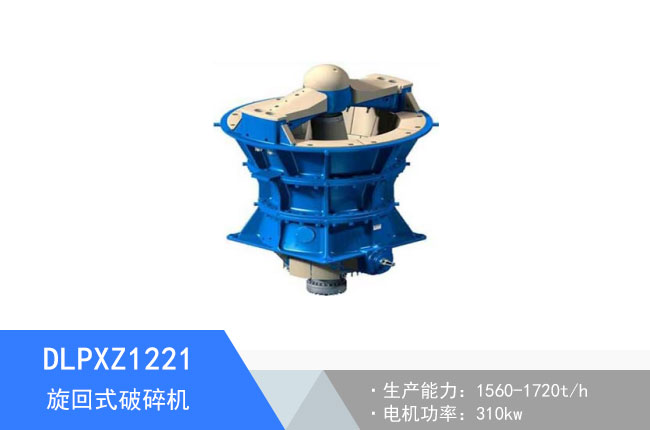 DLPXZ1221��������C(j��)