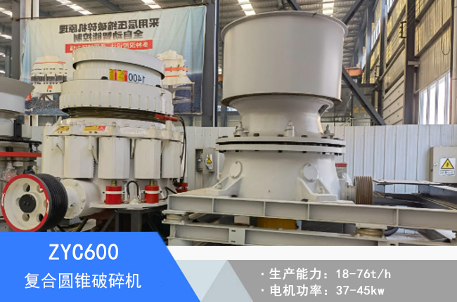 ZYC600��(f��)�ψA�F����C(j��)